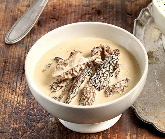 Sauce crémeuse aux morilles